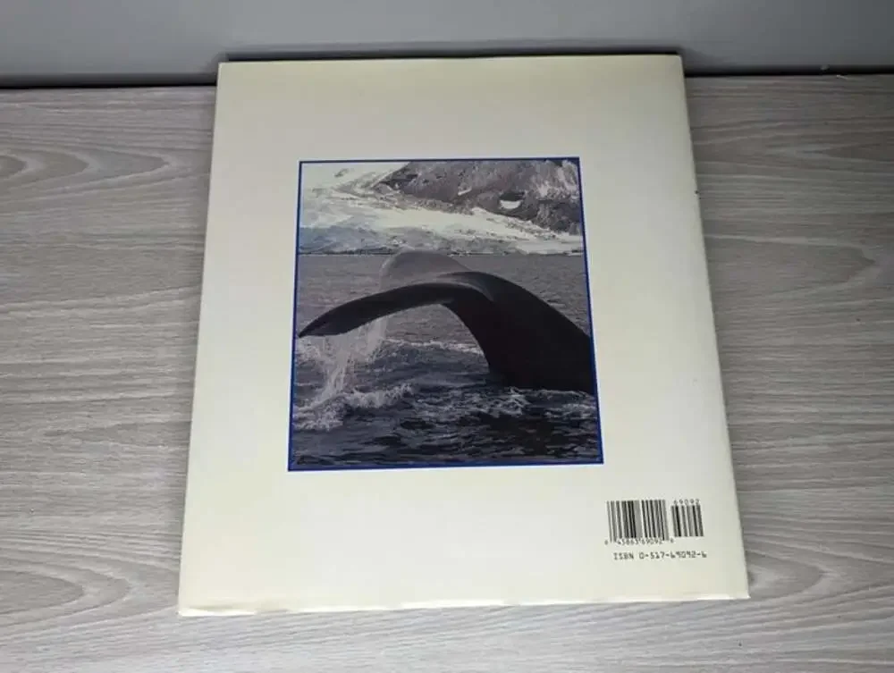 Whales & Dolphins Hardcover Book